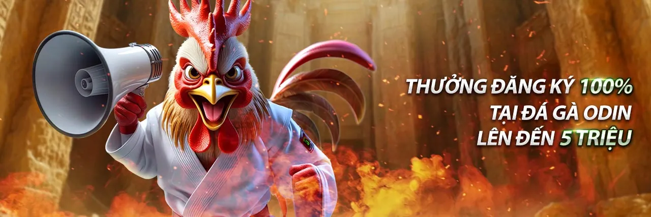Đá gà trực tuyến J882 với giao diện chuyên nghiệp và kịch tính, người chơi đăng nhập J882 để tham gia cá cược.